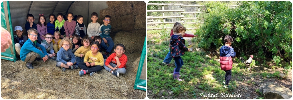 You are currently viewing Ferme Ecole, Maternelle