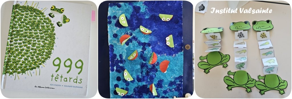 Lire la suite à propos de l’article Narramus, MS-GS, les grenouilles