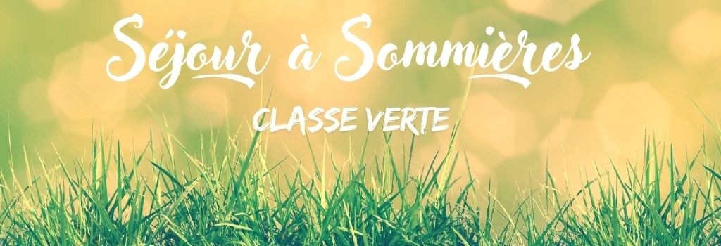 Lire la suite à propos de l’article CP, séjour à Sommières 2025