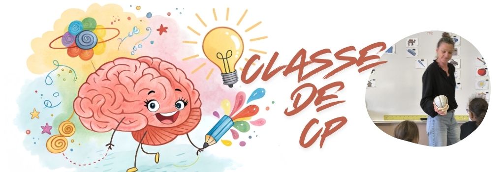 Lire la suite à propos de l’article Le Cerveau ? Classe de CP