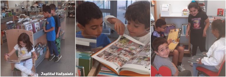 Lire la suite à propos de l’article CE1, Bibliothèque Serre Cavalier