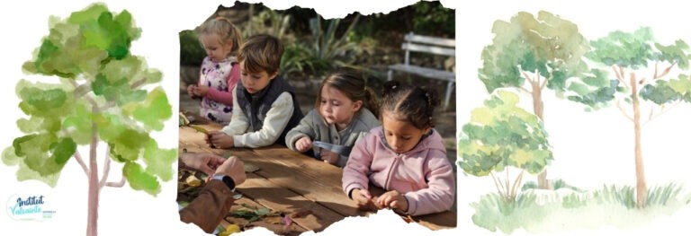 Lire la suite à propos de l’article L’école du dehors