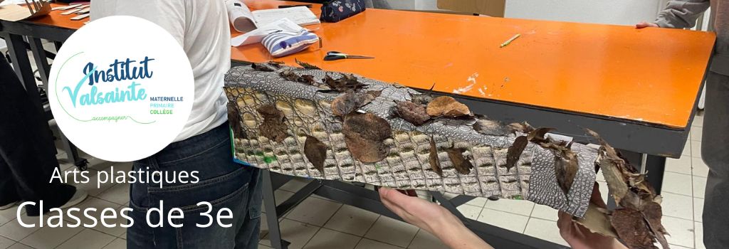 Lire la suite à propos de l’article Travaux en arts plastiques, niveau 3e