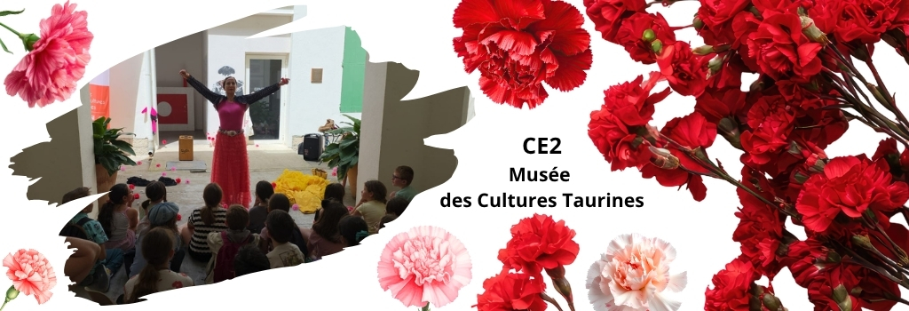 CE2, sortie au Musée des Cultures Taurines – 2026