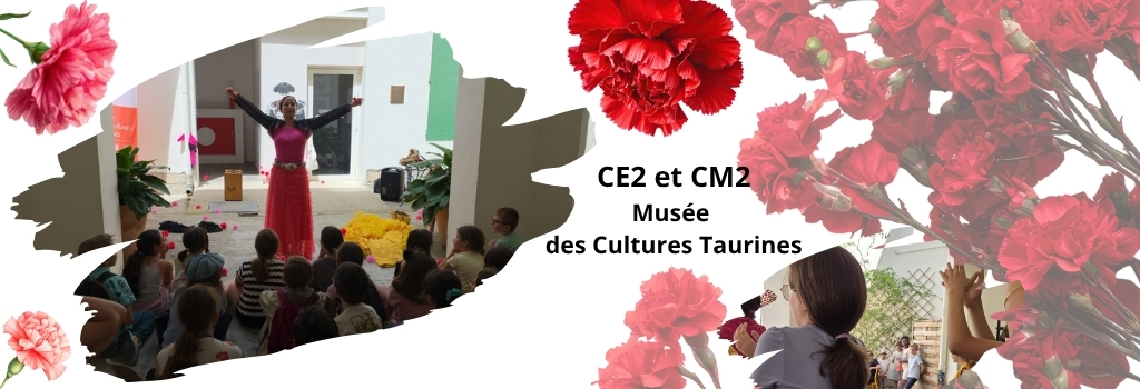 CM2-CE2, sortie au Musée des Cultures Taurines – 2026