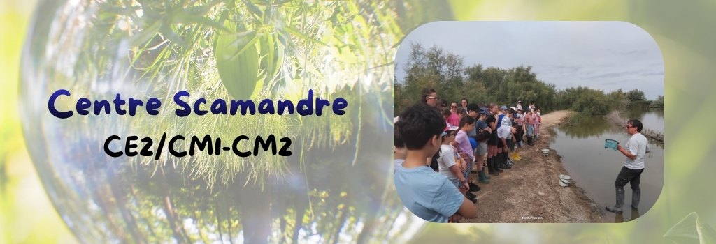 CE2/CM1 et CM2 au centre Scamandre 2026
