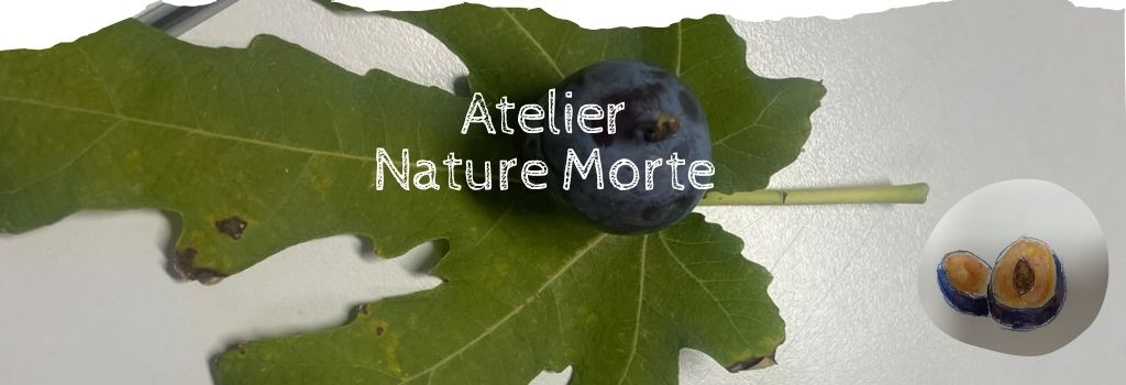 Arts plastiques – atelier nature morte 2026